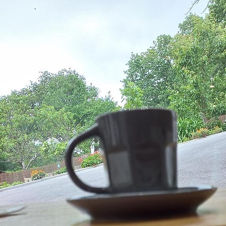 La Casa: Tranquil B&B with Private Parking and Garden Urrugne Exterior photo